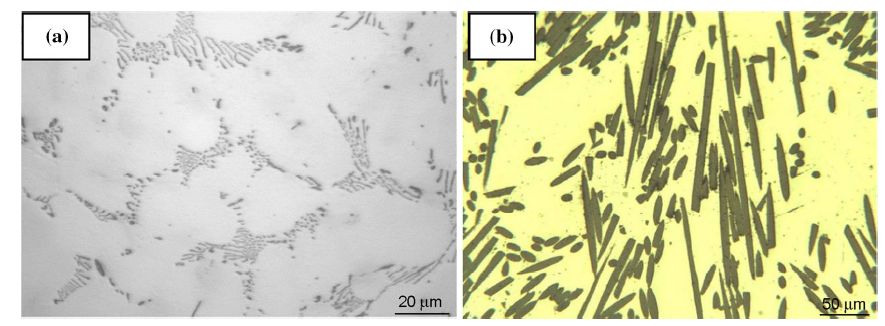Strength and Wear Behavior of Mg Alloy AE42 Reinforced with Carbon ...