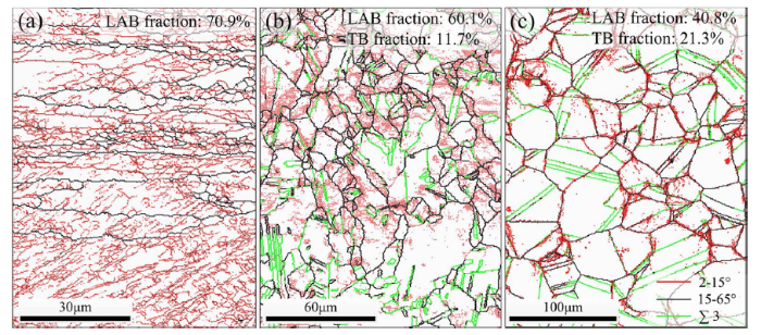 Effect of Stacking Fault Energy on the Grain Structure Evolution of FCC ...