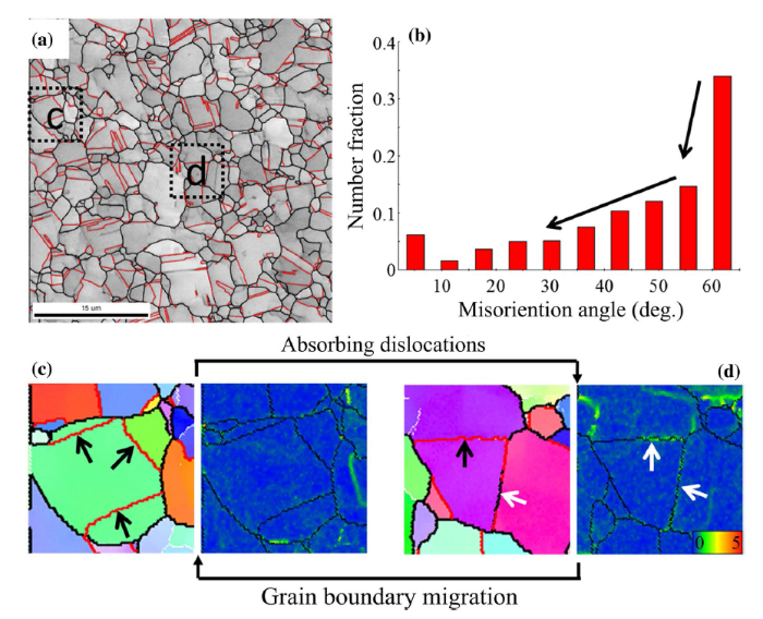 Effect of Stacking Fault Energy on the Grain Structure Evolution of FCC ...
